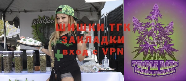 ПСИЛОЦИБИНОВЫЕ ГРИБЫ Волосово