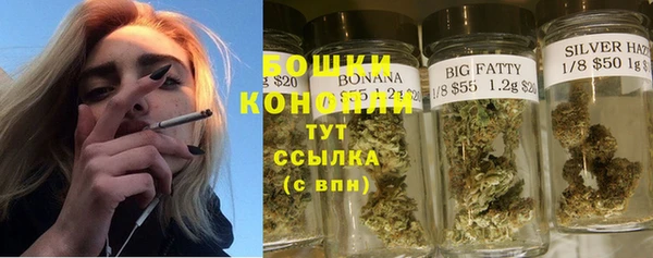 ПСИЛОЦИБИНОВЫЕ ГРИБЫ Волосово