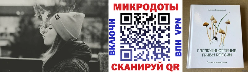 Псилоцибиновые грибы мицелий Сенгилей